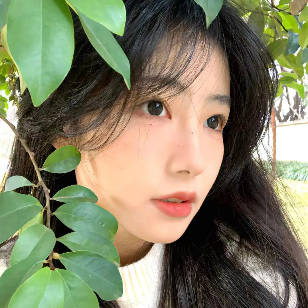 午夜的太阳
